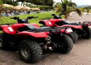 Atv Rental (Daily)