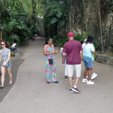 Nassau-Bahamas-Tours-800x600